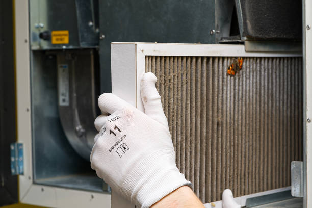 Best Affordable Duct Cleaning Services  in Pine Prairie, LA