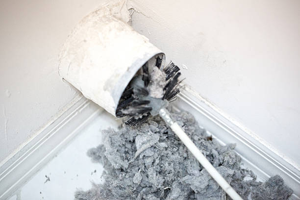 Best Best Air Duct Cleaning Company  in Pine Prairie, LA